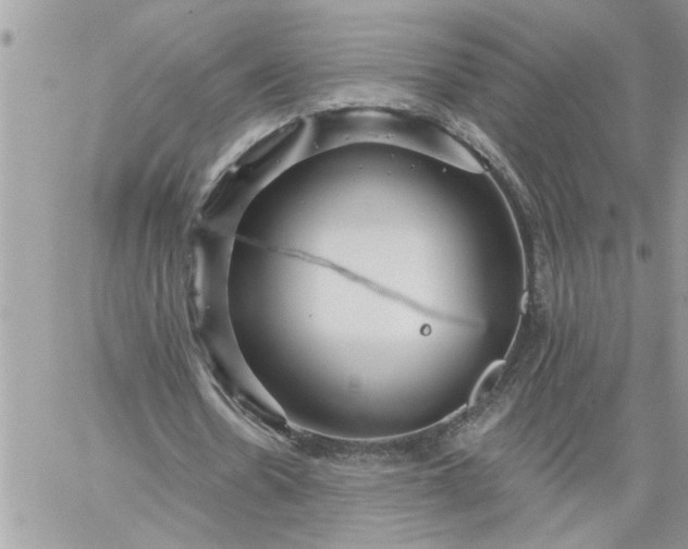 X0000059080530200510172032