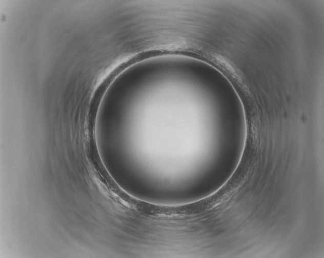 X0000059080532200510172032