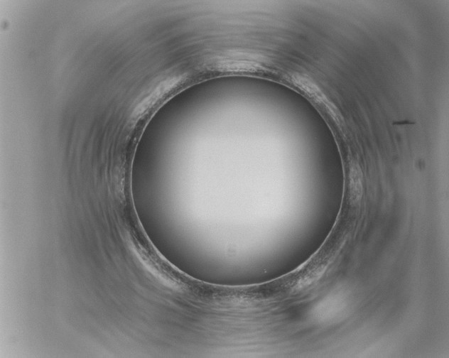 X0000059080533200510172032