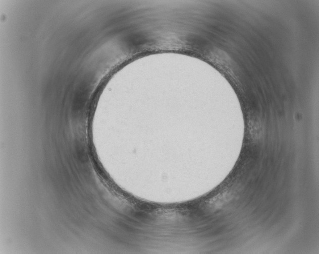 X0000059080534200510172032