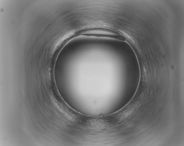 X0000059080535200510172032