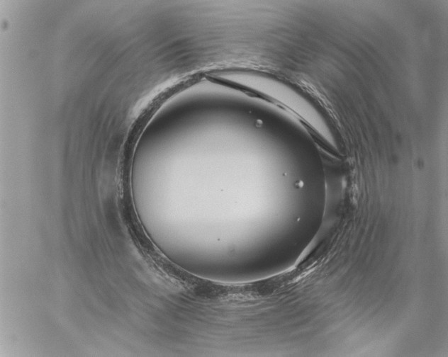 X0000059080536200510172032