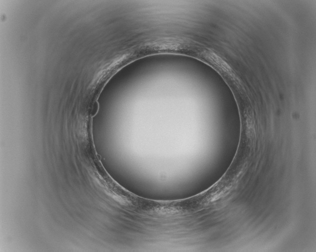 X0000059080537200510172032