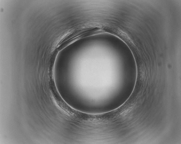 X0000059080538200510172032