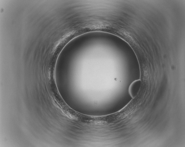 X0000059080539200510172032