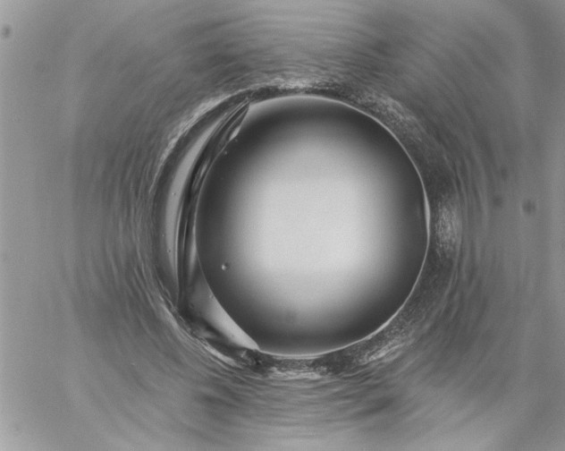 X0000059080540200510172032