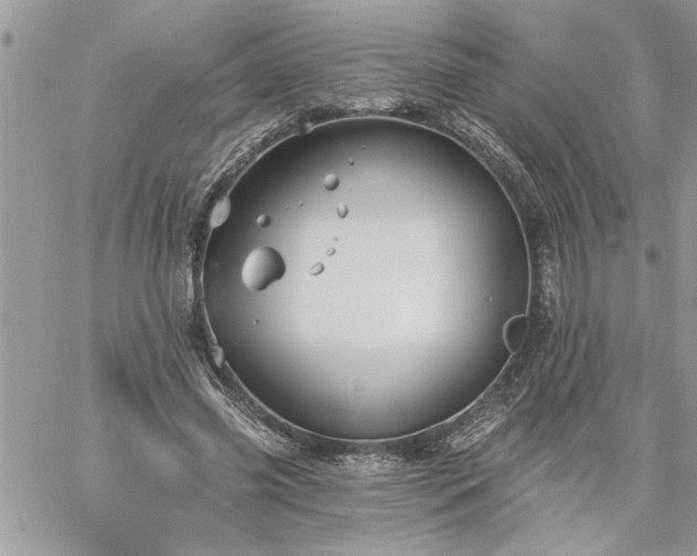 X0000059080541200510172032