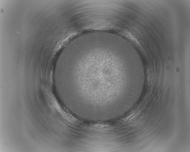 X0000059080542200510172032