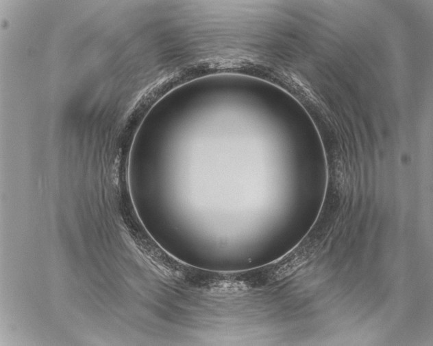 X0000059080543200510172032