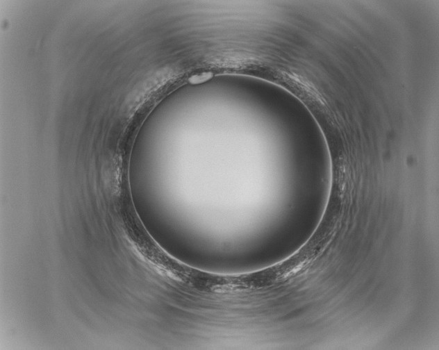 X0000059080544200510172032