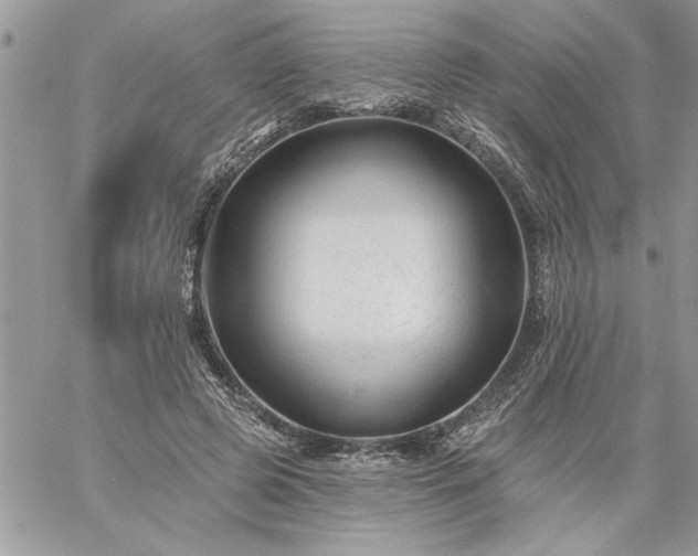 X0000059080545200510172032