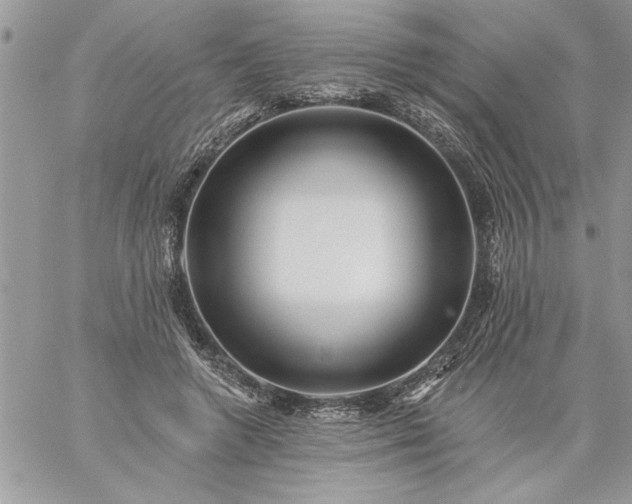 X0000059080546200510172032