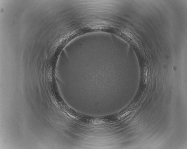 X0000059080547200510172032