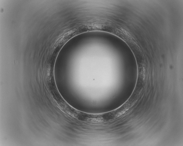 X0000059080548200510172032