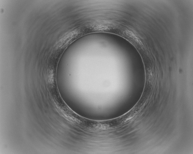 X0000059080549200510172032