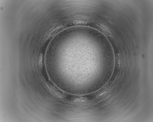 X0000059080550200510172032