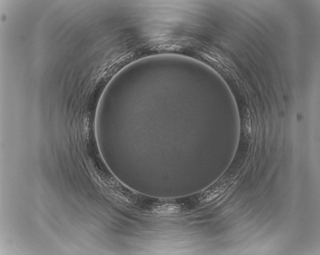 X0000059080551200510172032