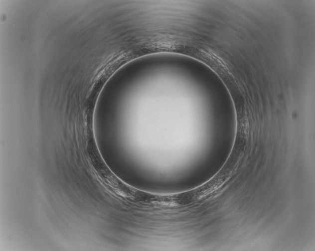 X0000059080552200510172032