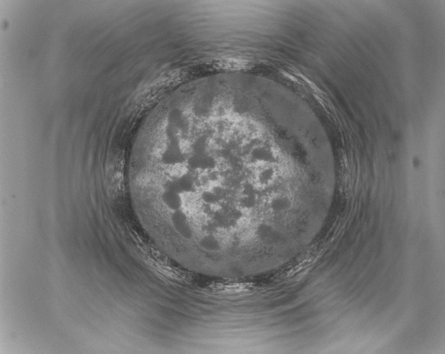 X0000059080553200510172032