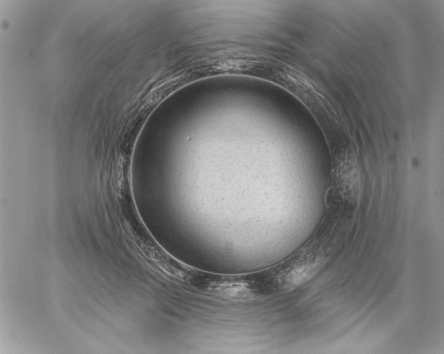 X0000059080554200510172032