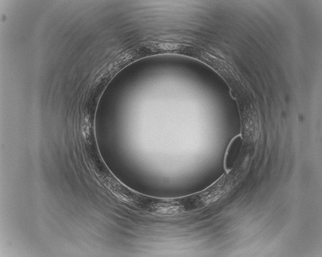 X0000059080555200510172032