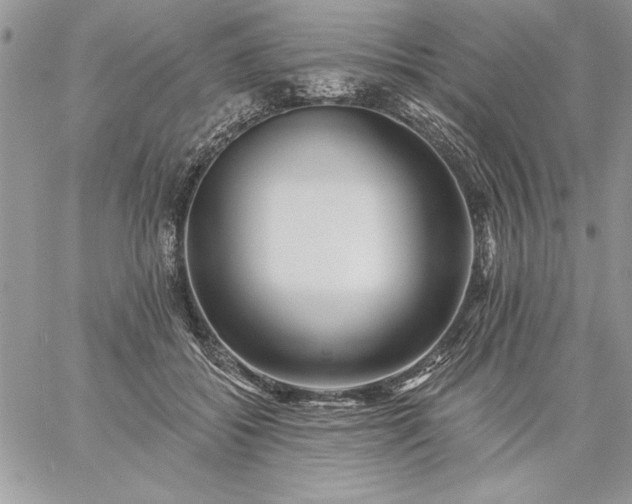 X0000059080556200510172032