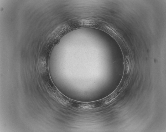 X0000059080557200510172032