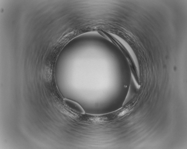 X0000059080558200510172032