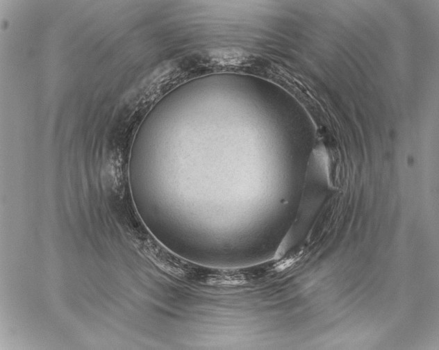 X0000059080559200510172032