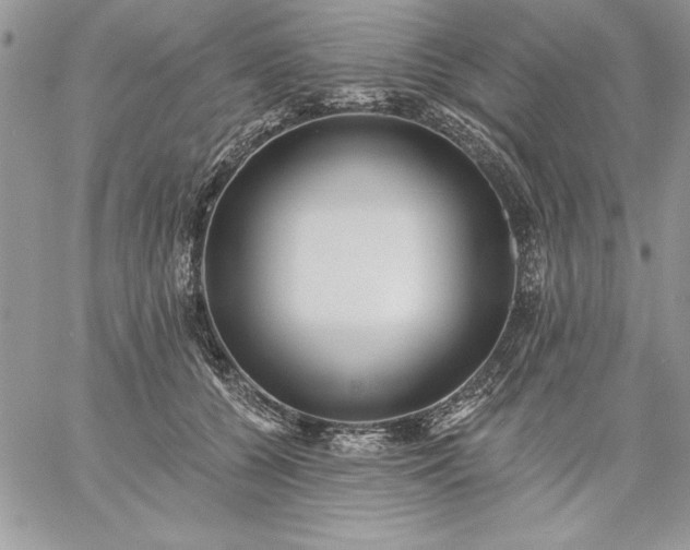 X0000059080560200510172032