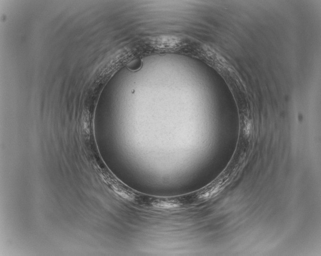 X0000059080561200510172032