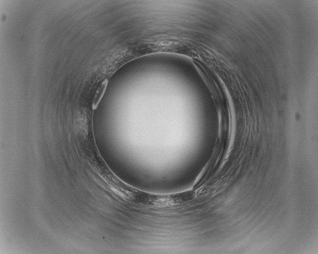 X0000059080562200510172032