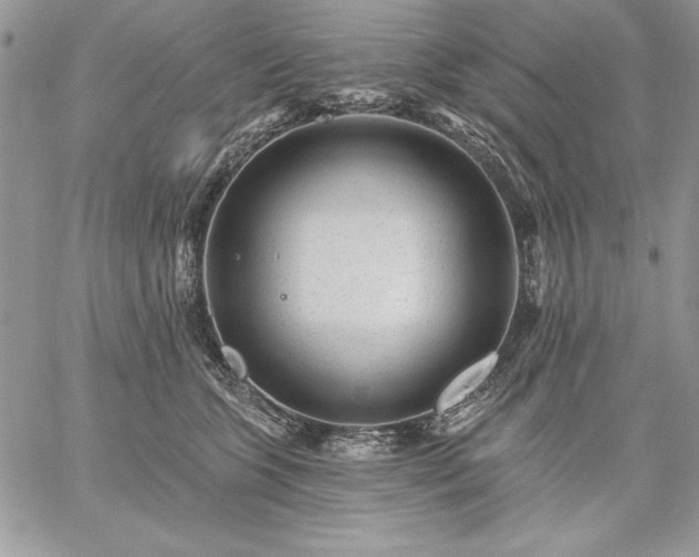 X0000059080563200510172032