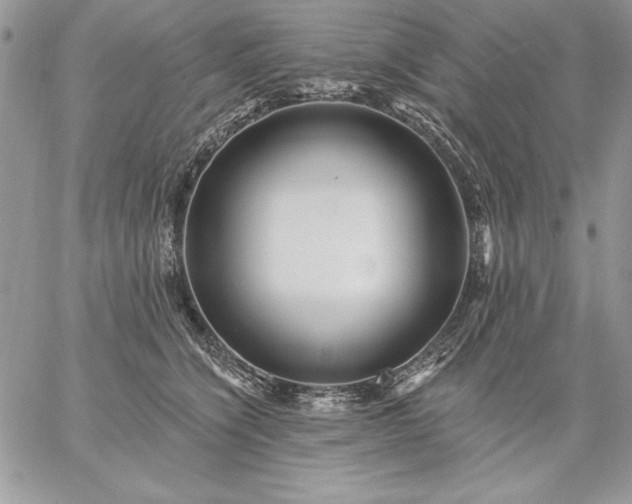 X0000059080564200510172032