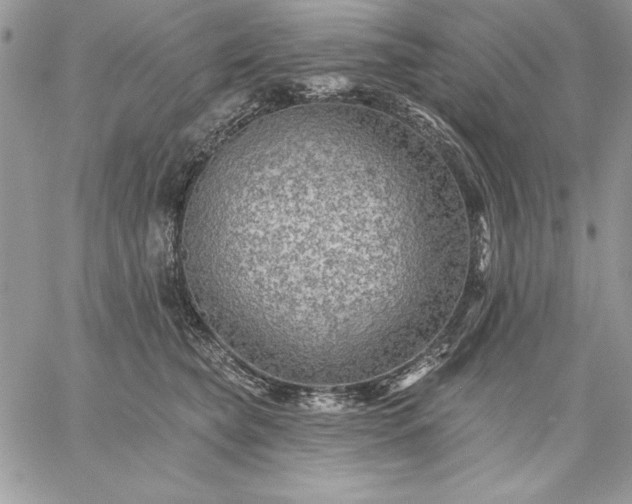 X0000059080565200510172032