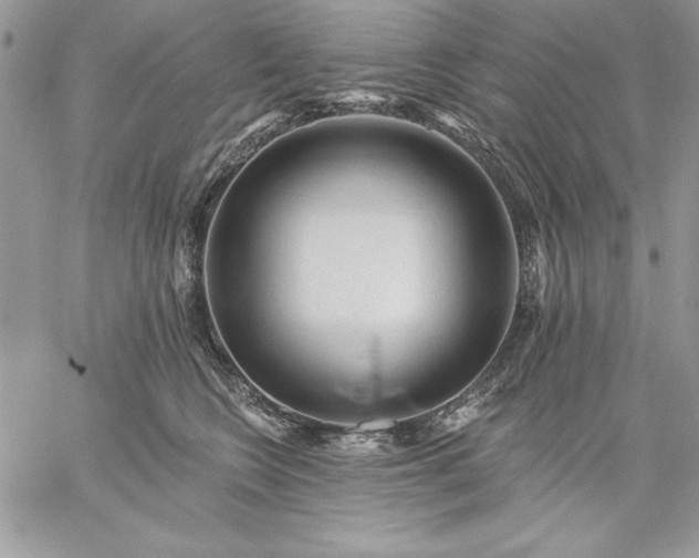 X0000059080566200510172032