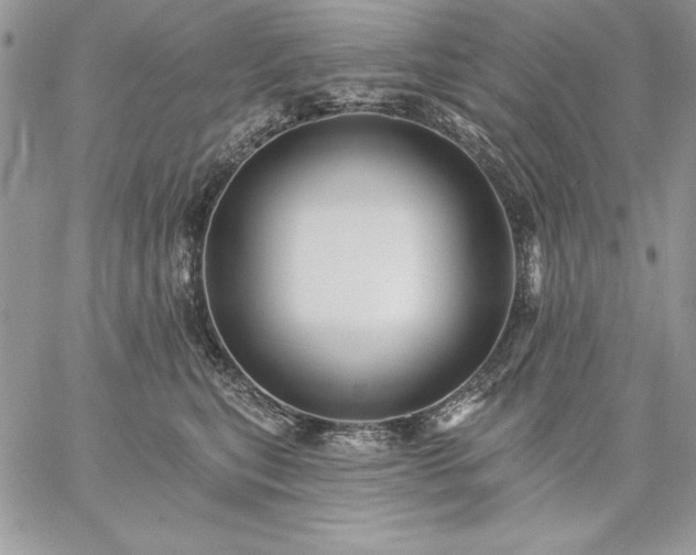 X0000059080567200510172032