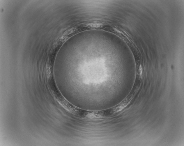 X0000059080568200510172032