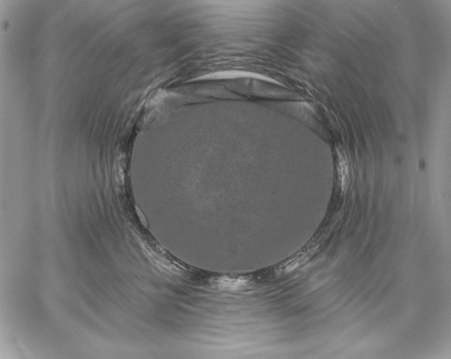 X0000059080570200510172032