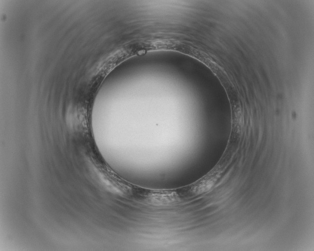 X0000059080571200510172032