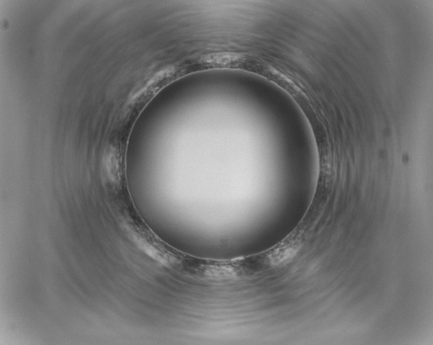 X0000059080572200510172033