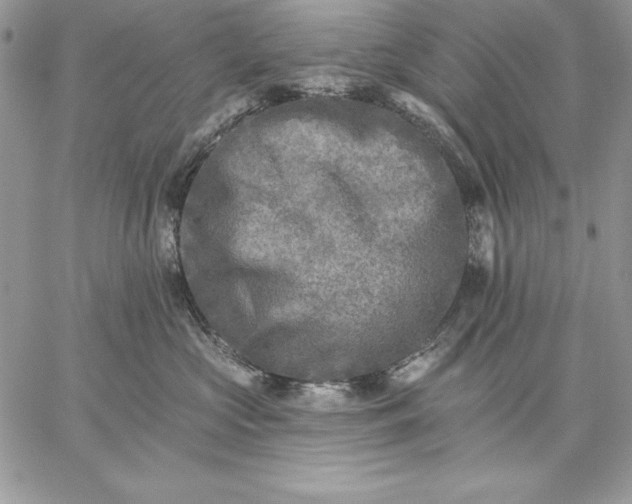 X0000059080573200510172033