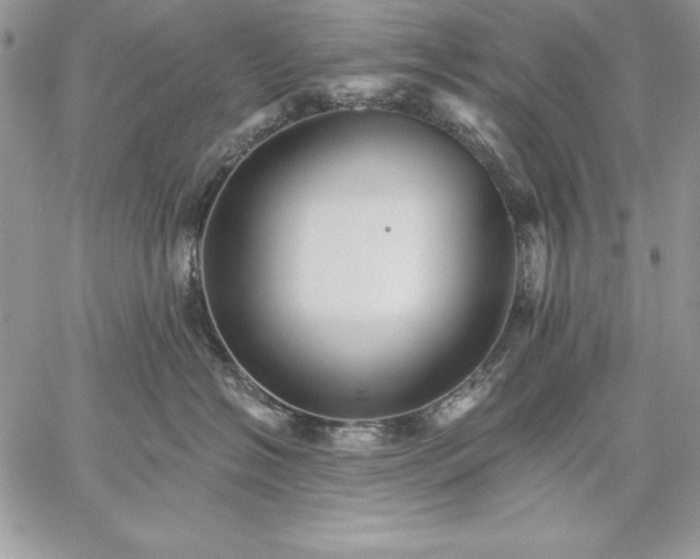 X0000059080574200510172033