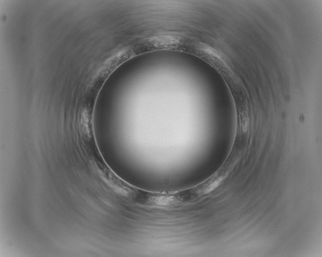 X0000059080575200510172033