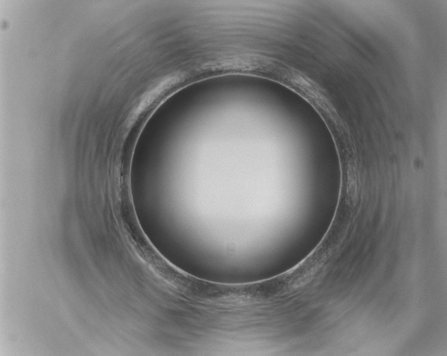 X0000059080578200510172032