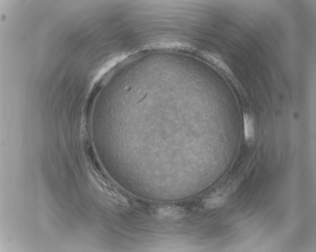 X0000059080579200510172032