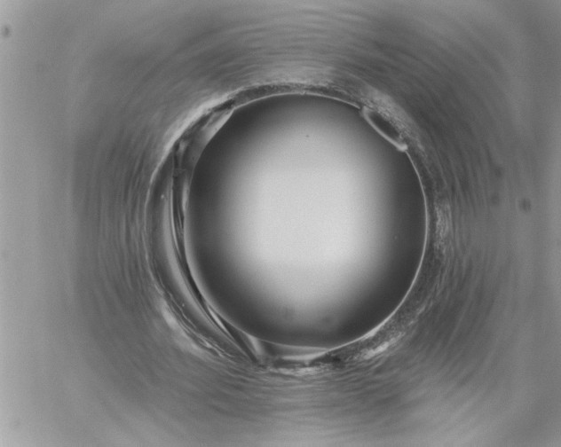 X0000059080580200510172032