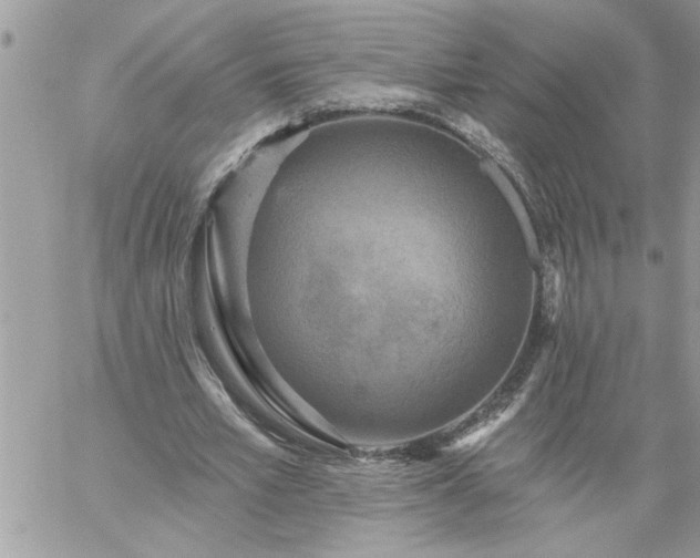 X0000059080581200510172032