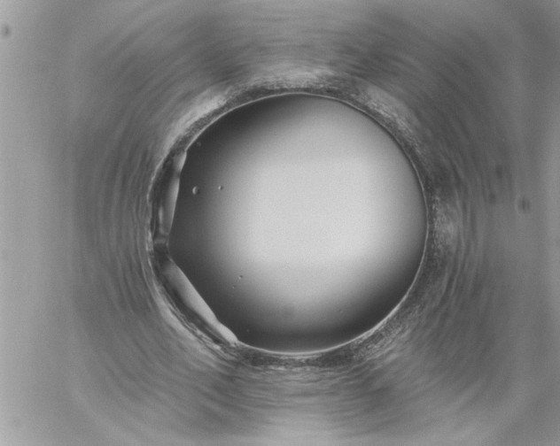 X0000059080582200510172032