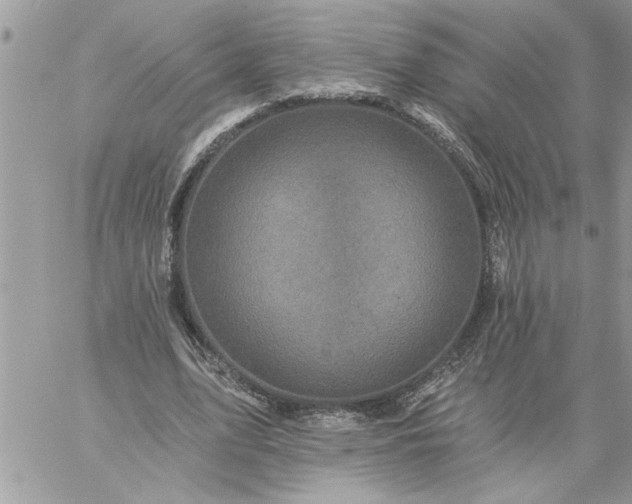 X0000059080583200510172032